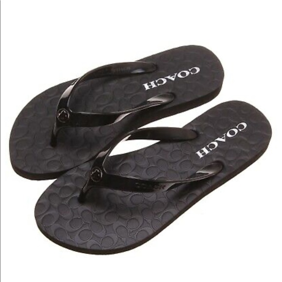 coach abbigail flip flops